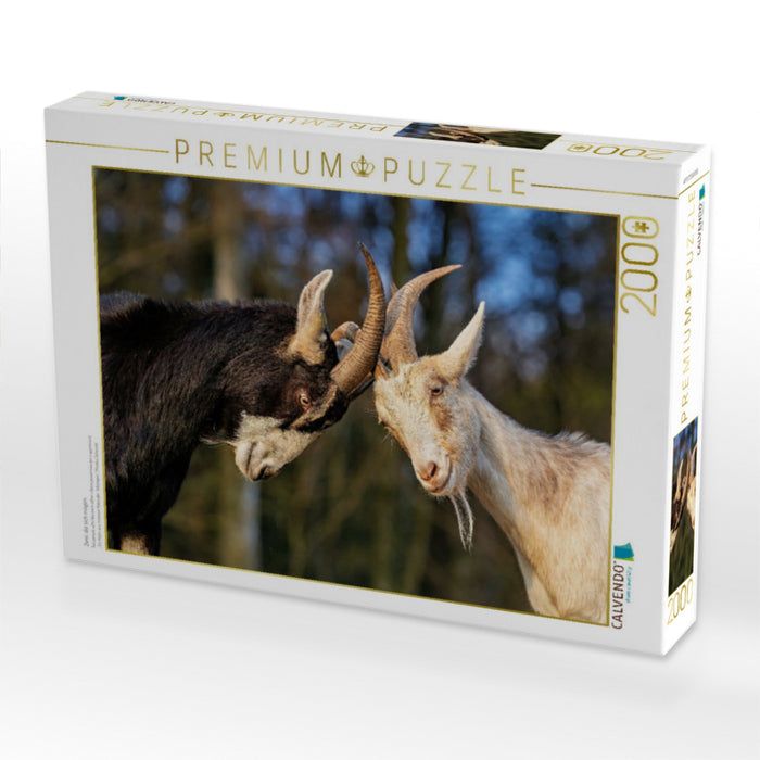 Zwei, die sich mögen - CALVENDO Foto-Puzzle'