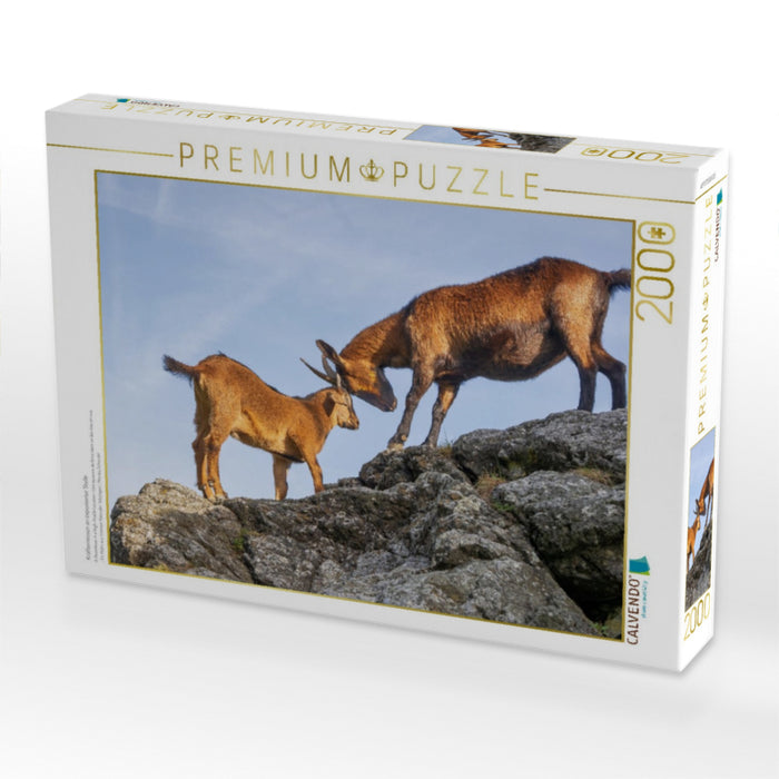 Kräftemessen an exponierter Stelle - CALVENDO Foto-Puzzle'