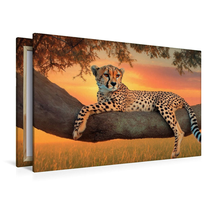Premium Textil-Leinwand Gepard - Anmut in der Dämmerung