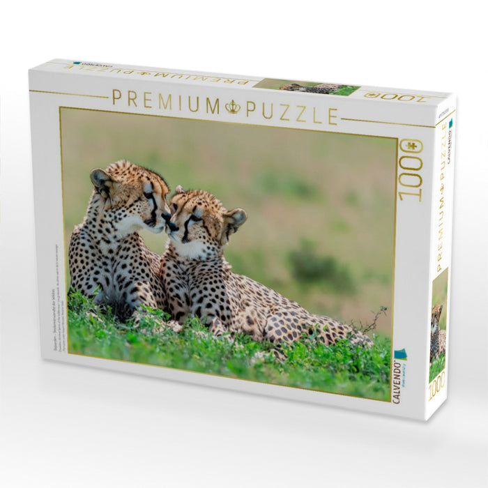 Geparden - Seelenverwandte der Wildnis - CALVENDO Foto-Puzzle'