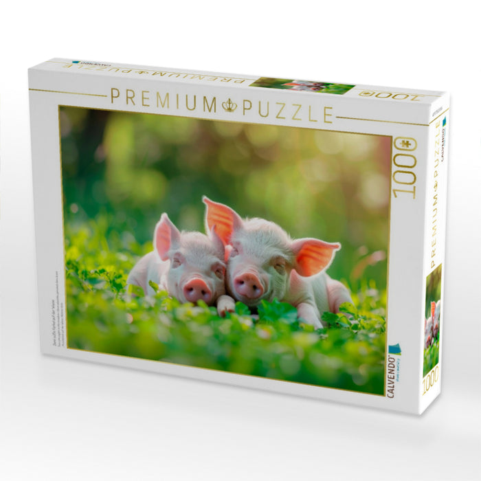 Zwei süße Ferkel auf der Wiese - CALVENDO Foto-Puzzle'