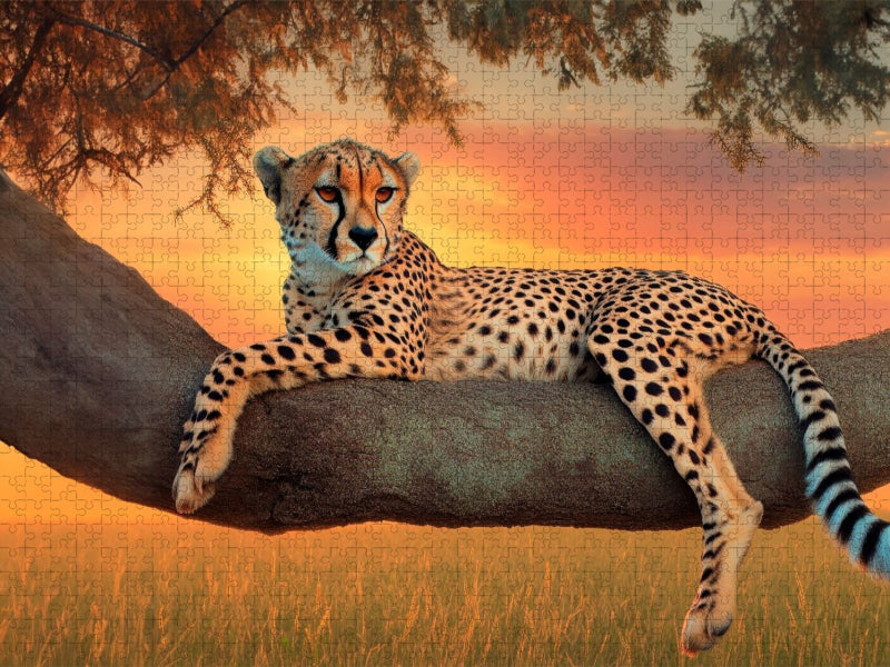 Gepard - Anmut in der Dämmerung - CALVENDO Foto-Puzzle'