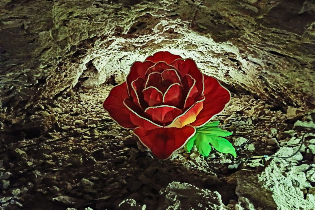Premium Textil-Leinwand Barbarossahöhle - Lichtspiel einer Rose