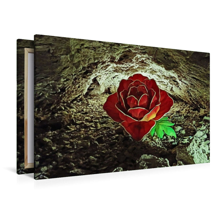 Premium Textil-Leinwand Barbarossahöhle - Lichtspiel einer Rose