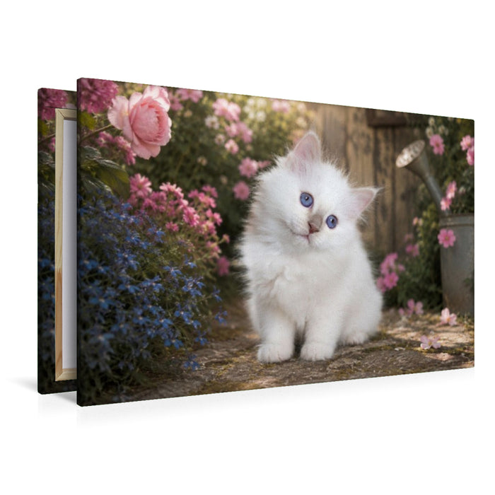 Premium Textil-Leinwand Liam von der Handorfer Bäke - Lilac Point