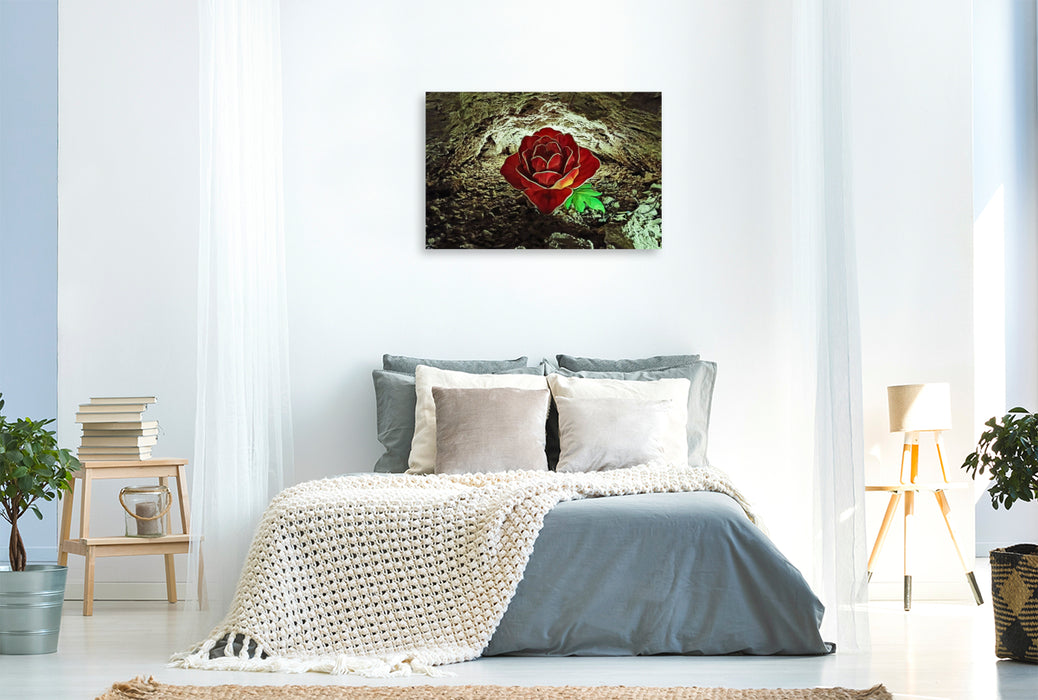 Premium Textil-Leinwand Barbarossahöhle - Lichtspiel einer Rose