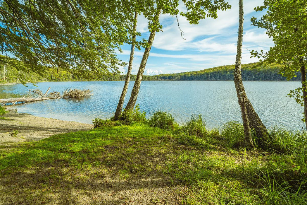 Premium Textil-Leinwand Wolgastsee im Frühling