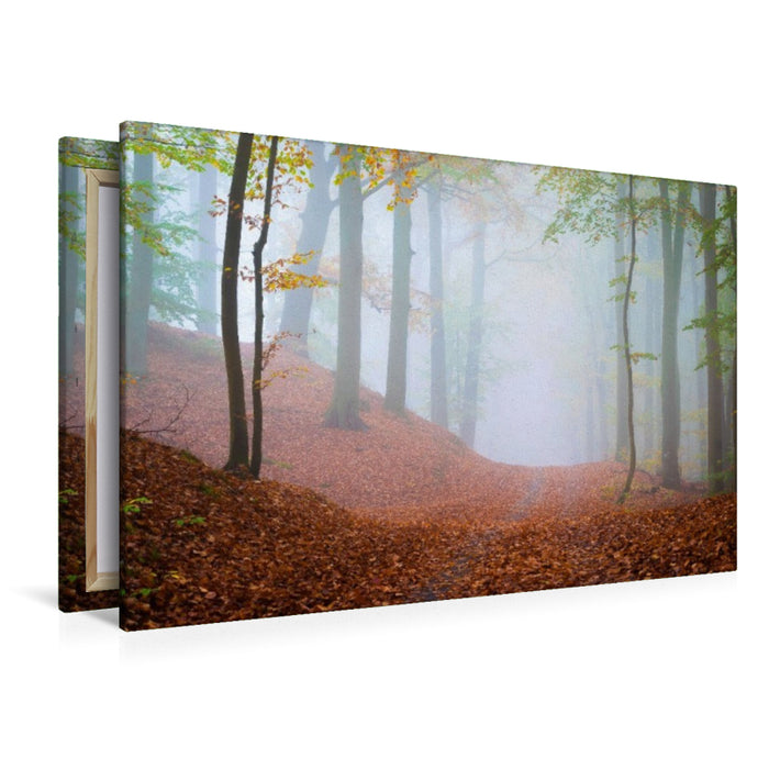 Premium Textil-Leinwand Wald im Nebel
