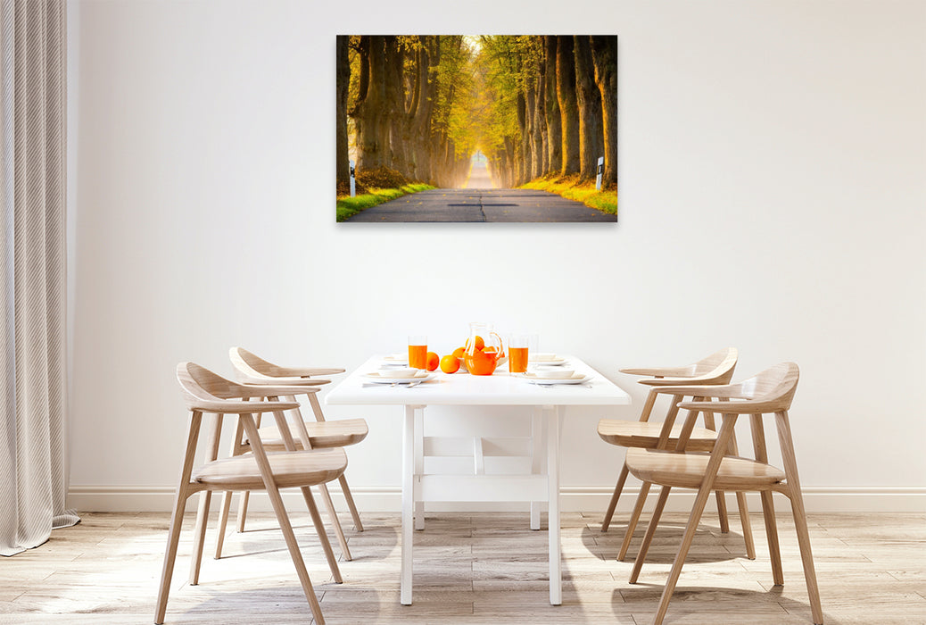 Premium Textil-Leinwand Allee im Morgenlicht