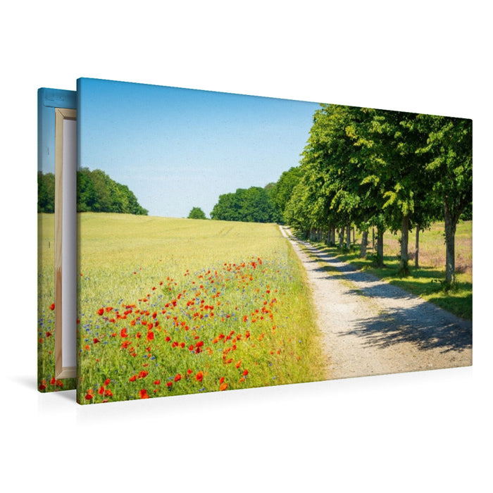Premium Textil-Leinwand Sommer auf Insel Usedom