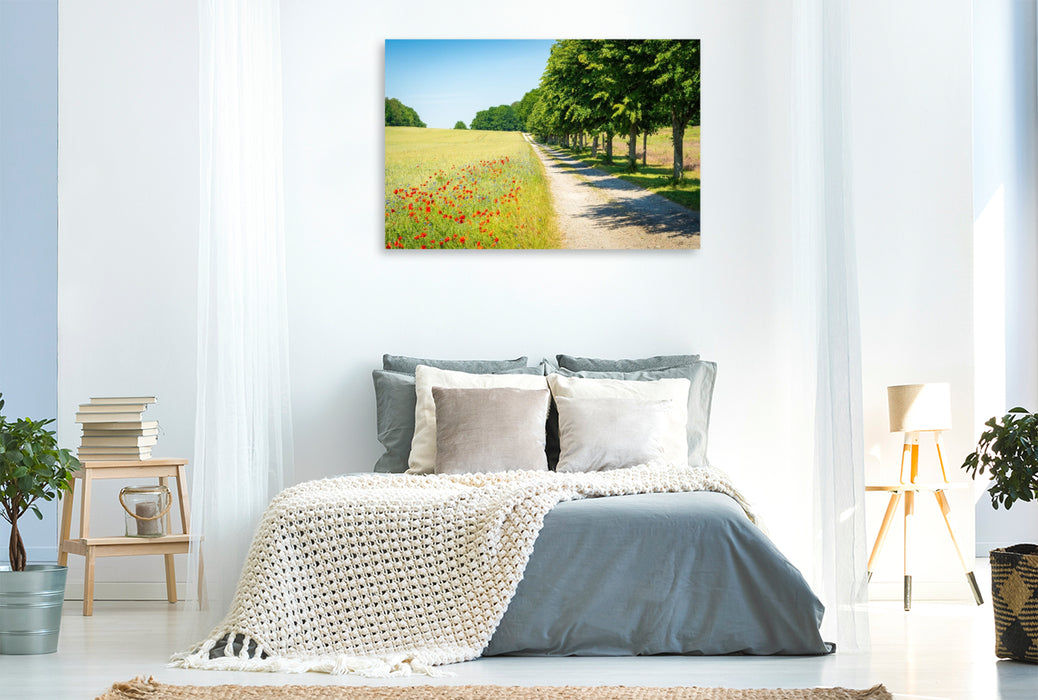 Premium Textil-Leinwand Sommer auf Insel Usedom