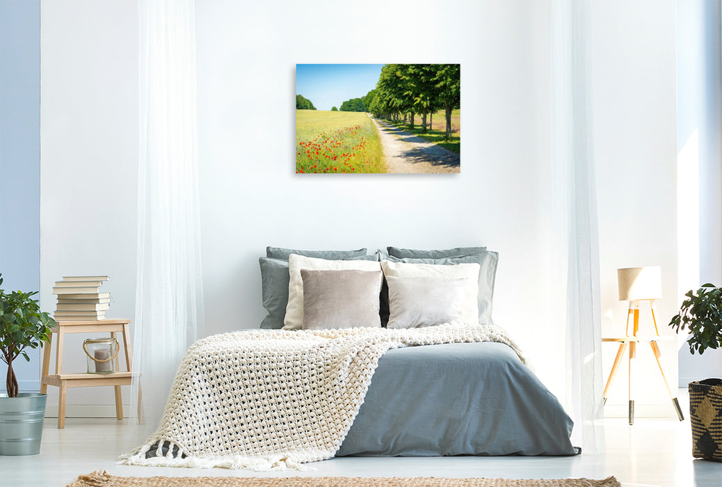 Premium Textil-Leinwand Sommer auf Insel Usedom