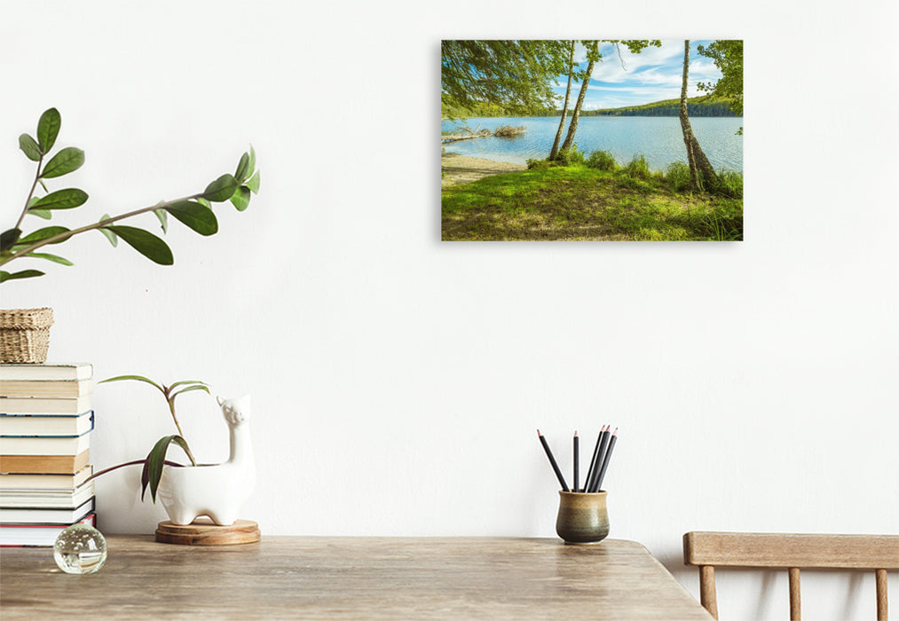 Premium Textil-Leinwand Wolgastsee im Frühling