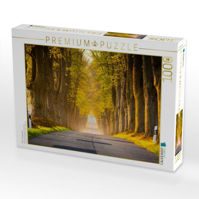 Allee im Morgenlicht - CALVENDO Foto-Puzzle'
