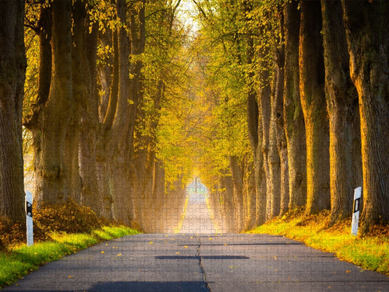 Allee im Morgenlicht - CALVENDO Foto-Puzzle'
