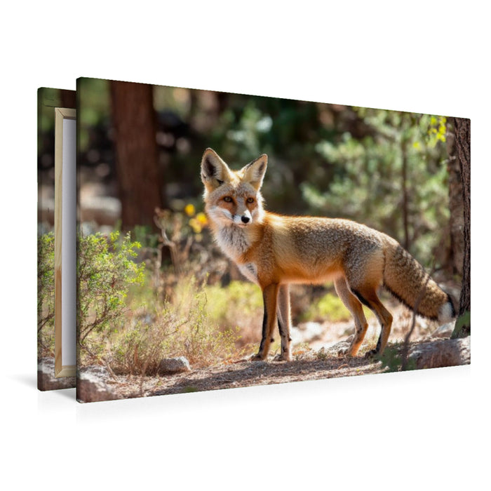 Premium Textil-Leinwand Fuchs - Aufmerksam durch den Wald