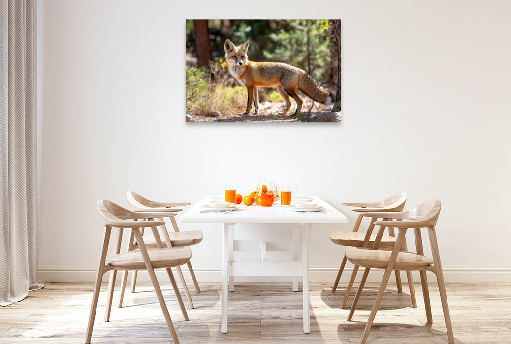 Premium Textil-Leinwand Fuchs - Aufmerksam durch den Wald
