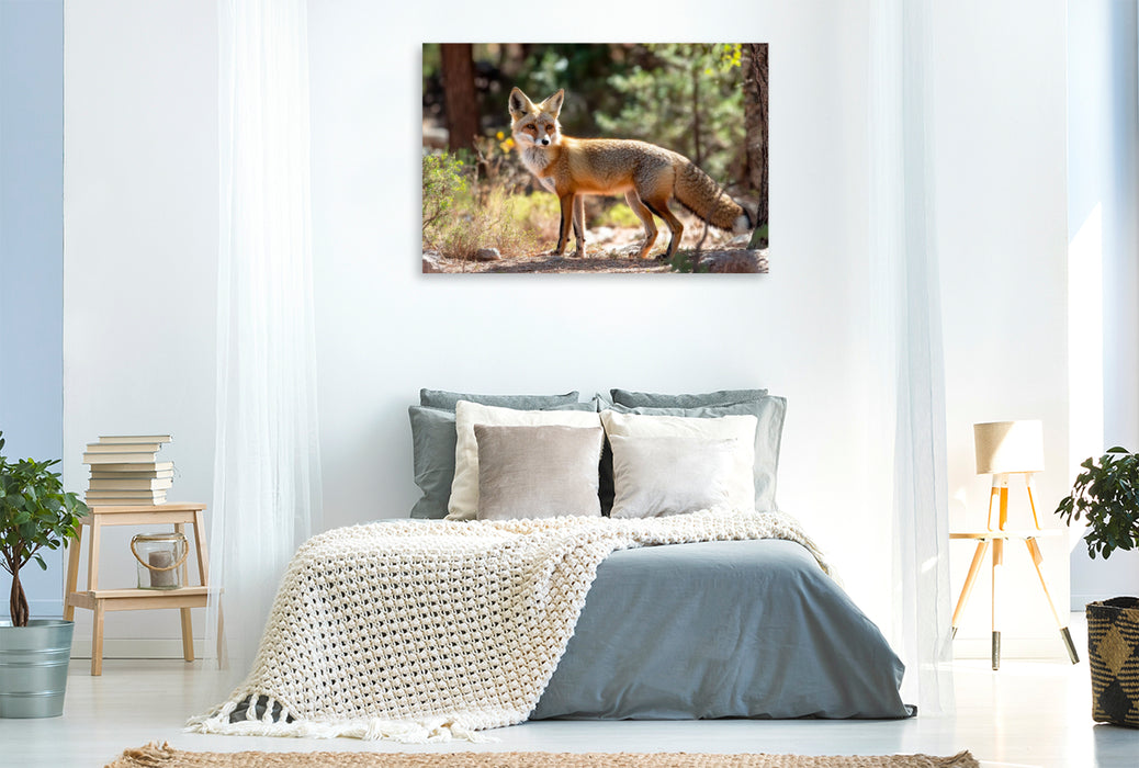 Premium Textil-Leinwand Fuchs - Aufmerksam durch den Wald