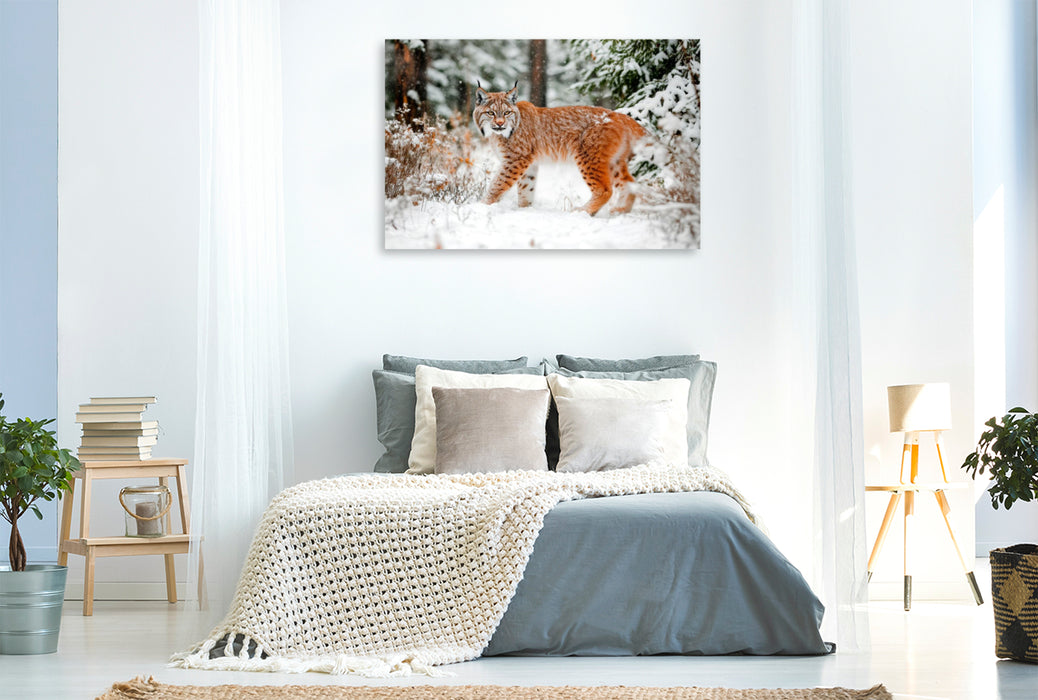 Premium Textil-Leinwand Luchs - Begegnung im Winterwald