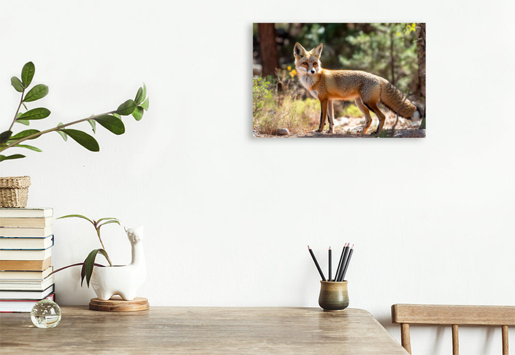 Premium Textil-Leinwand Fuchs - Aufmerksam durch den Wald