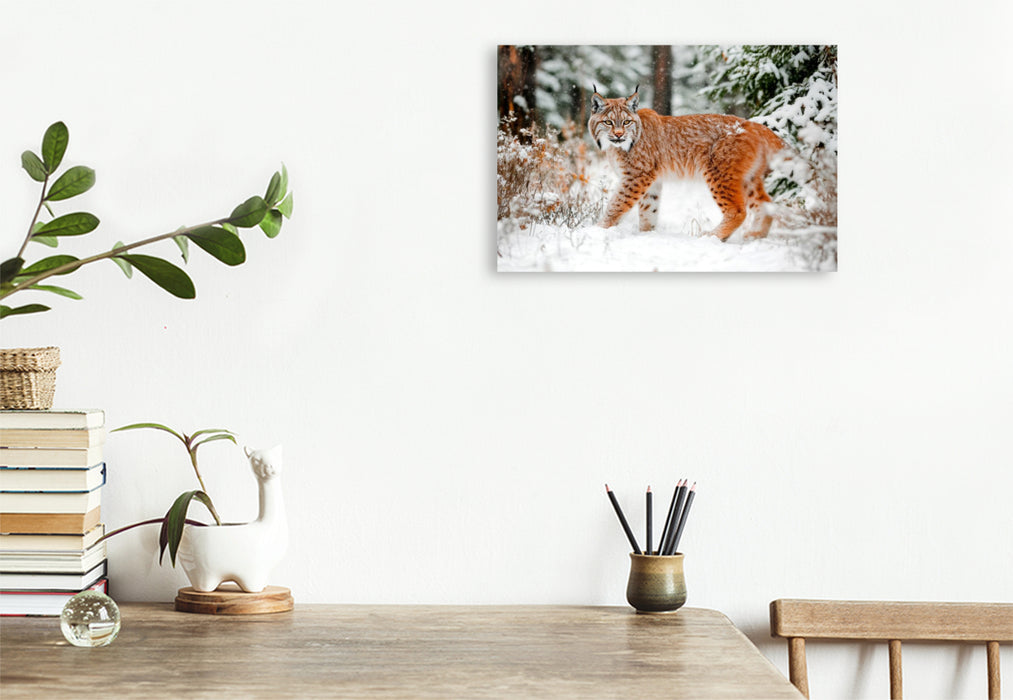 Premium Textil-Leinwand Luchs - Begegnung im Winterwald