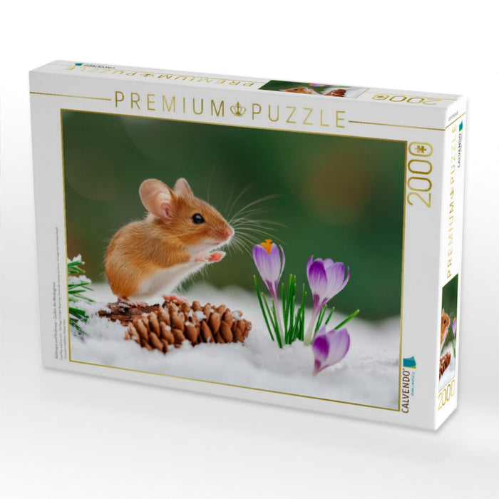 Feldmaus und Krokusse - Zauber des Neubeginns - CALVENDO Foto-Puzzle'