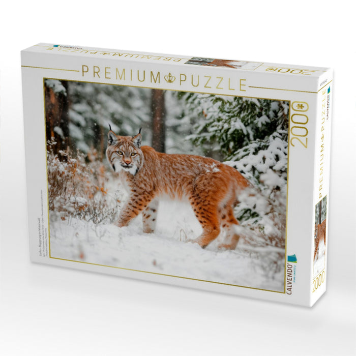 Luchs - Begegnung im Winterwald - CALVENDO Foto-Puzzle'