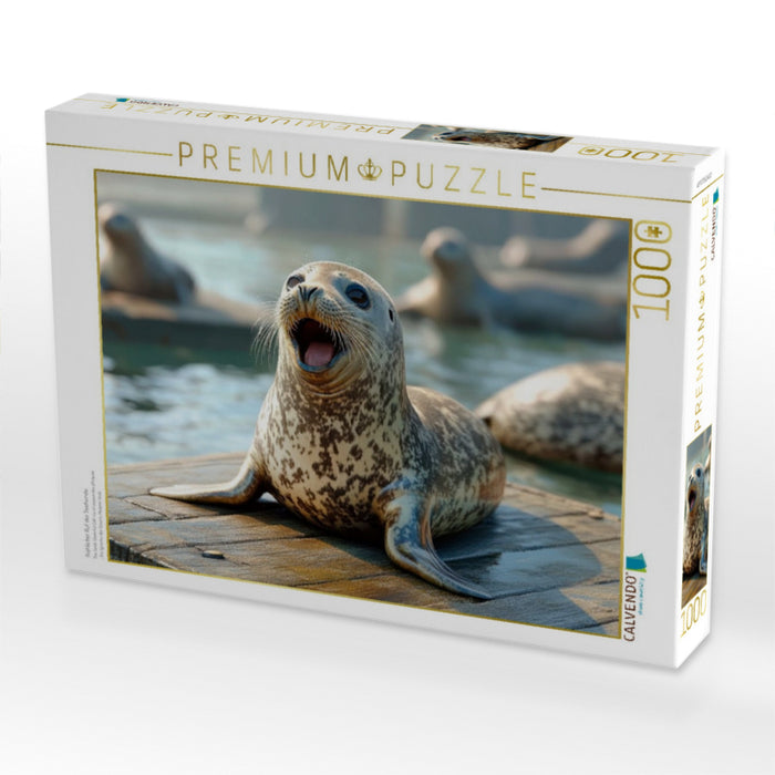 Fröhlicher Ruf der Seehunde - CALVENDO Foto-Puzzle'