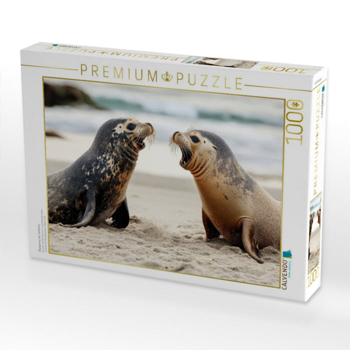 Begegnung der Seelöwen - CALVENDO Foto-Puzzle'