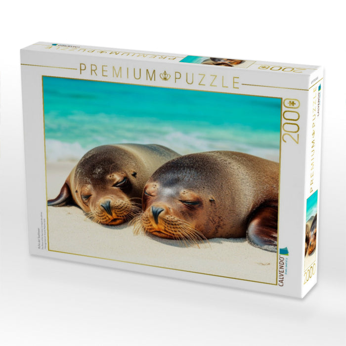 Ruhe der Seelöwen - CALVENDO Foto-Puzzle'