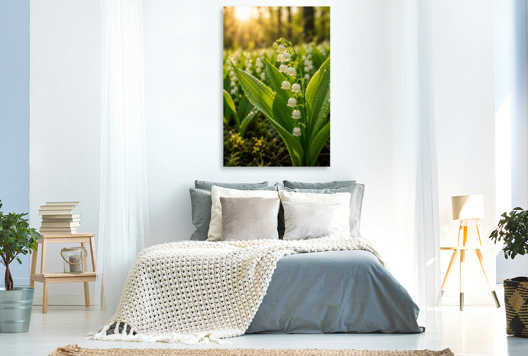 Premium Textil-Leinwand Maiglöckchen im Morgenlicht