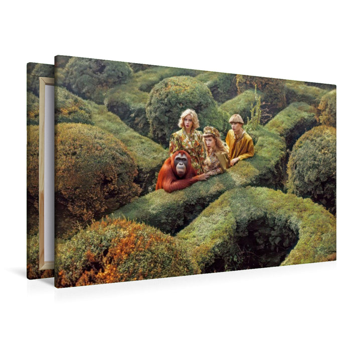 Premium Textil-Leinwand Gartenlabyrinthe