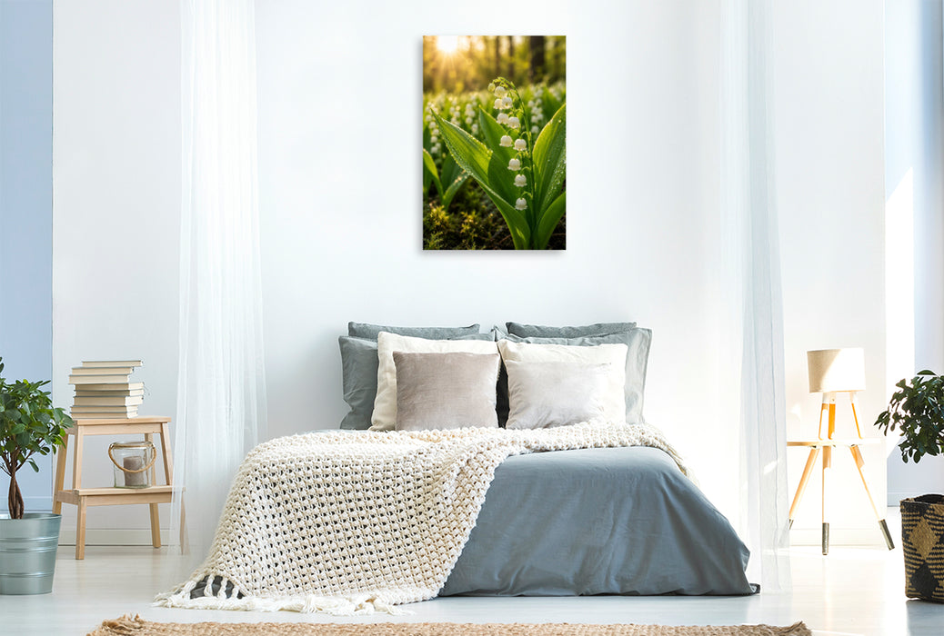 Premium Textil-Leinwand Maiglöckchen im Morgenlicht