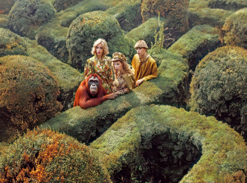 Gartenlabyrinthe - CALVENDO Foto-Puzzle'
