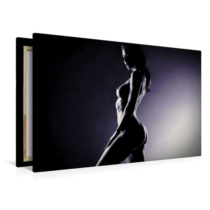 Premium Textil-Leinwand Zwischen Linie und Licht.