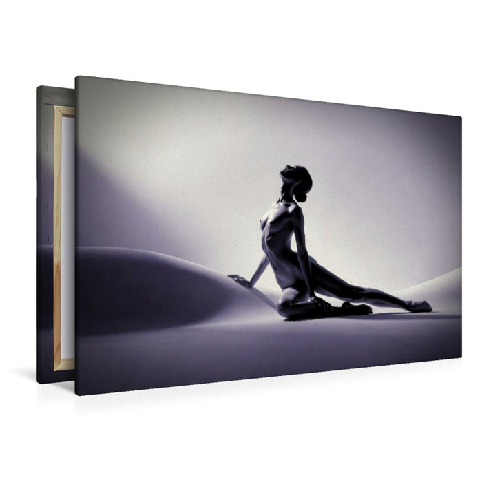 Premium Textil-Leinwand Die Eleganz der Kontur.