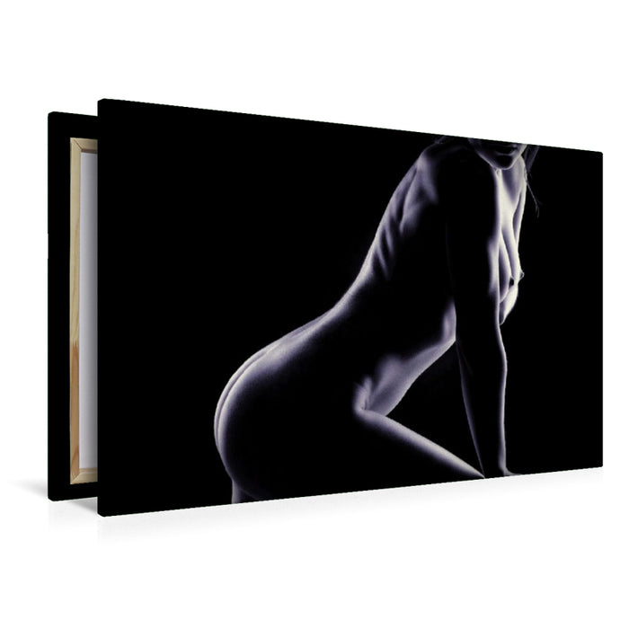 Premium Textil-Leinwand Ein Motiv aus dem Kalender Erotisches Meisterwerk aus feinem Linienwerk und Silhouetten