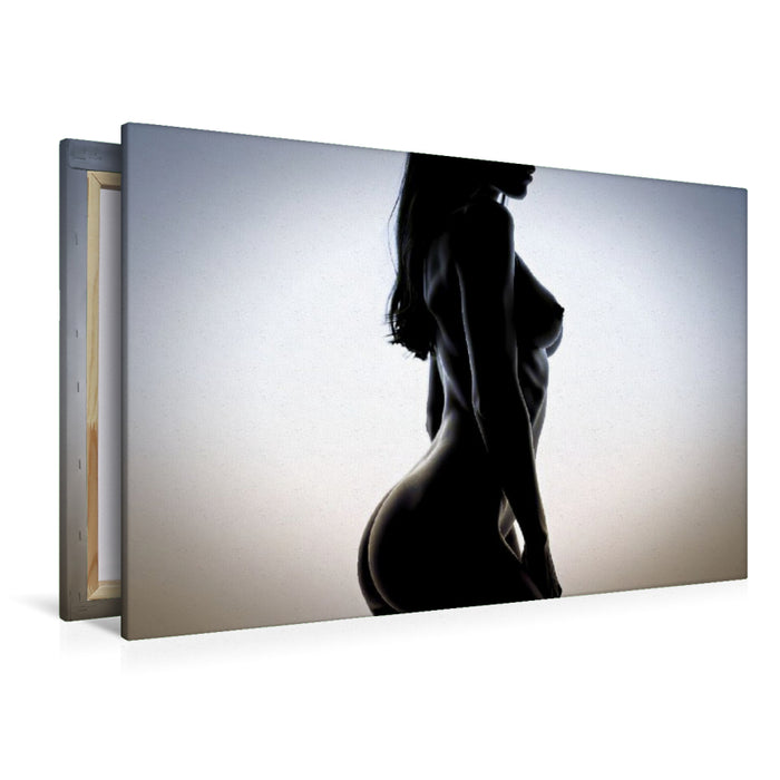 Premium Textil-Leinwand Moderne Körperkunst.