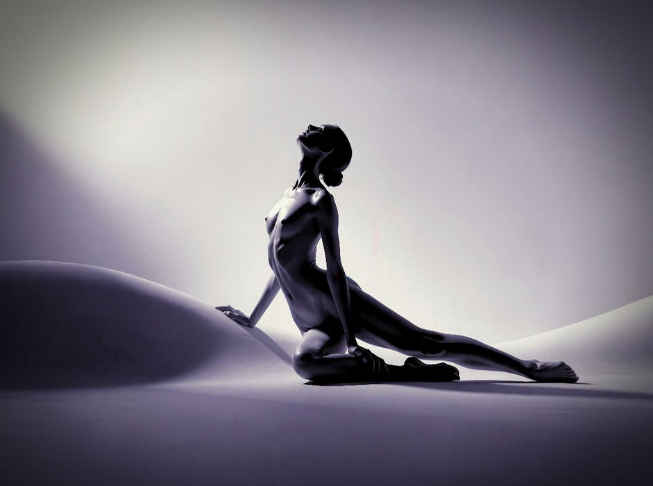 Die Eleganz der Kontur. - CALVENDO Foto-Puzzle'