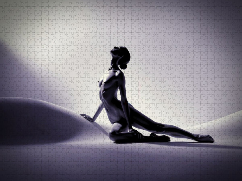 Die Eleganz der Kontur. - CALVENDO Foto-Puzzle'