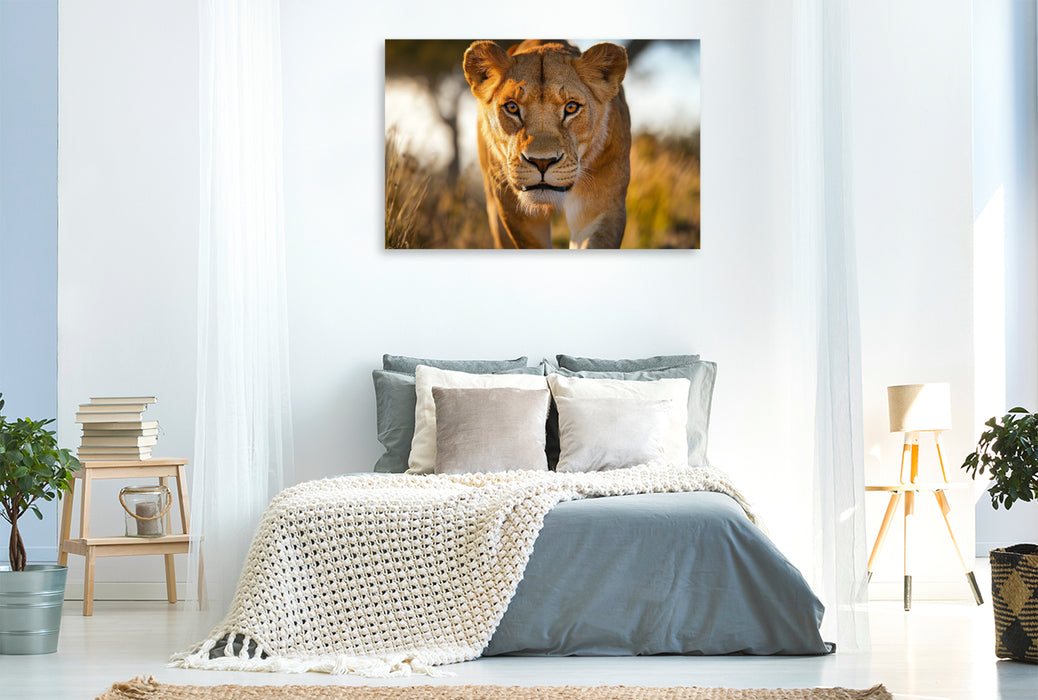 Premium Textil-Leinwand Jägerin der Savanne