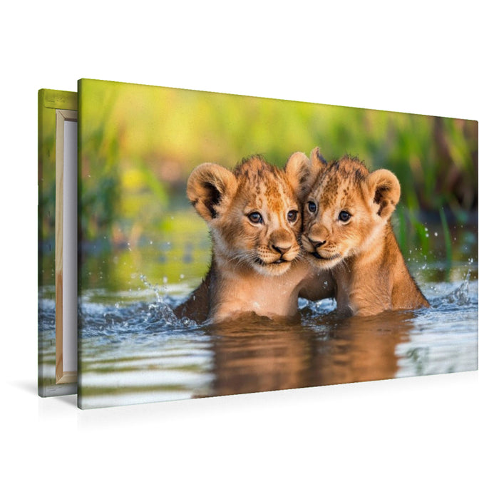 Premium Textil-Leinwand Löwenbabys - Im Wasserparadies