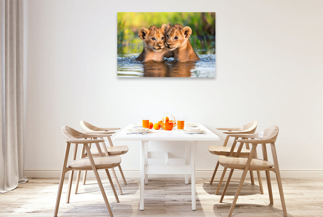Premium Textil-Leinwand Löwenbabys - Im Wasserparadies