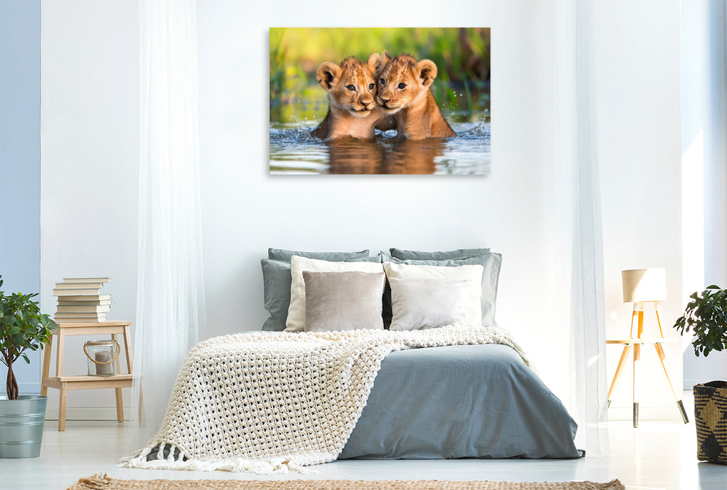 Premium Textil-Leinwand Löwenbabys - Im Wasserparadies
