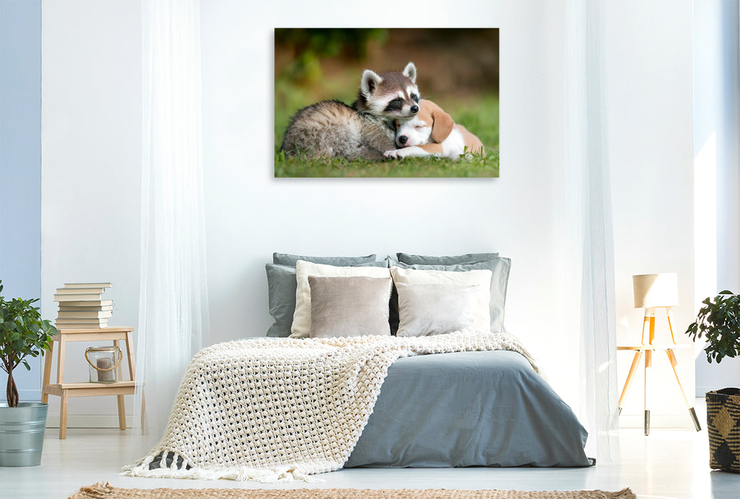 Premium Textil-Leinwand Waschbär und Welpe - Freundschaft kennt keine Grenzen