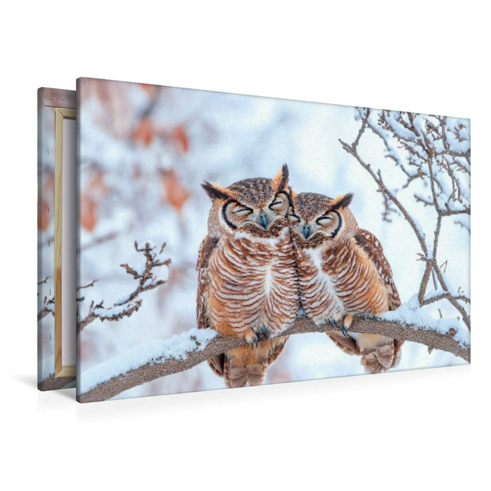 Premium Textil-Leinwand Eulenpaar im Schneewald