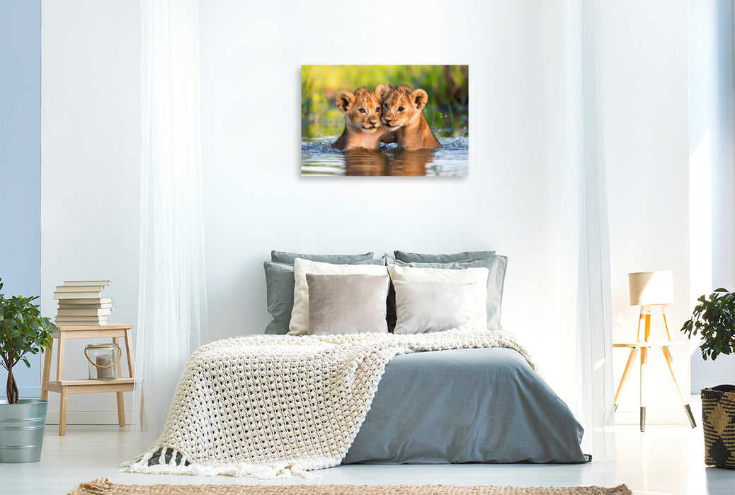 Premium Textil-Leinwand Löwenbabys - Im Wasserparadies