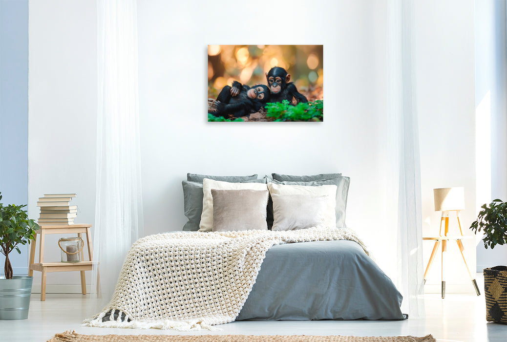 Premium Textil-Leinwand Schimpansenkinder - Sprache der Freundschaft
