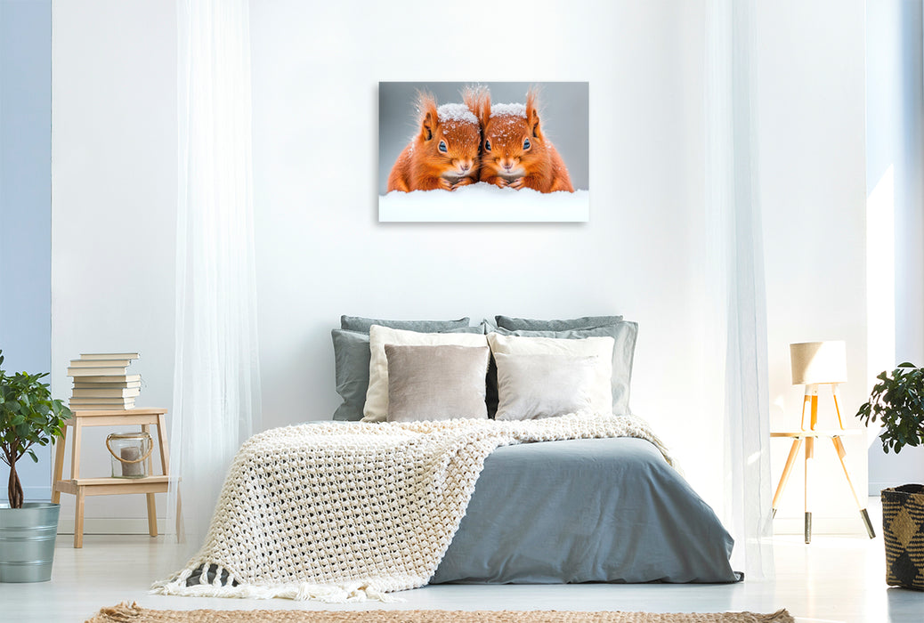Premium Textil-Leinwand Kuschelige Eichhörnchen im Winterzauber