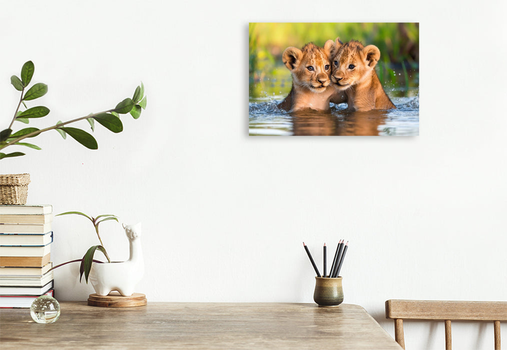 Premium Textil-Leinwand Löwenbabys - Im Wasserparadies